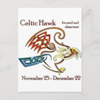 Celtic Hawk