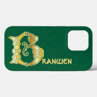 Celtic Knot Decorative Hauptstadt B