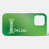 Celtic Knot Decorative Hauptstadt des 16. Jahrhund