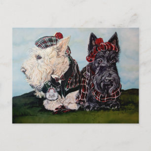 Celtic Scottish Terriers Postkarte