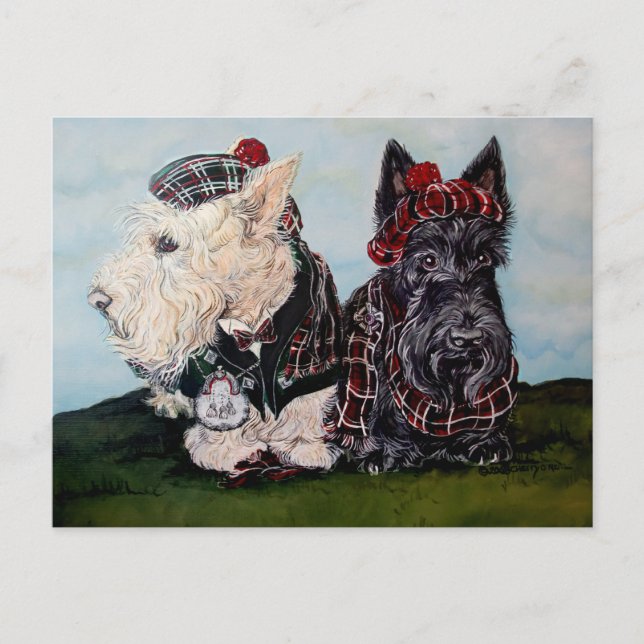 Celtic Scottish Terriers Postkarte (Vorderseite)