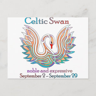 Celtic Swan Postkarte