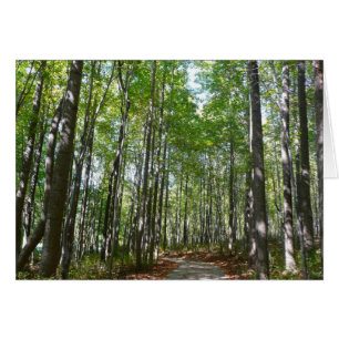 Centennial Wald Path II Ellicott City Maryland