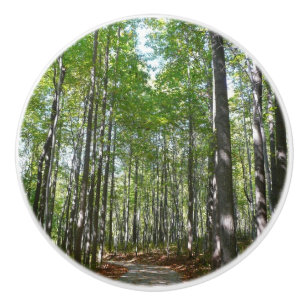 Centennial Wald Path II Ellicott City Maryland Keramikknauf