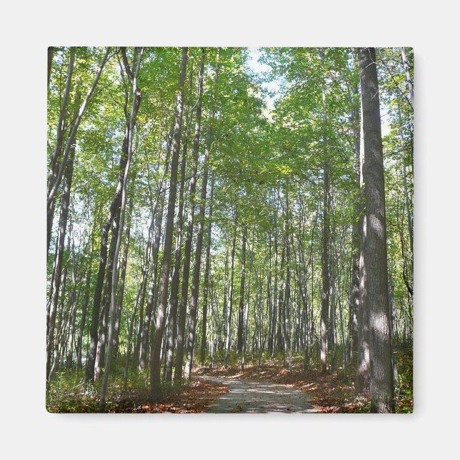Centennial Wald Path II Ellicott City Maryland Magnet (Vorne)