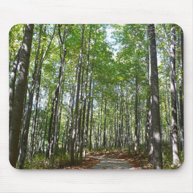 Centennial Wald Path II Ellicott City Maryland Mousepad (Vorne)