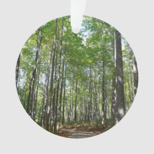 Centennial Wald Path II Ellicott City Maryland Ornament