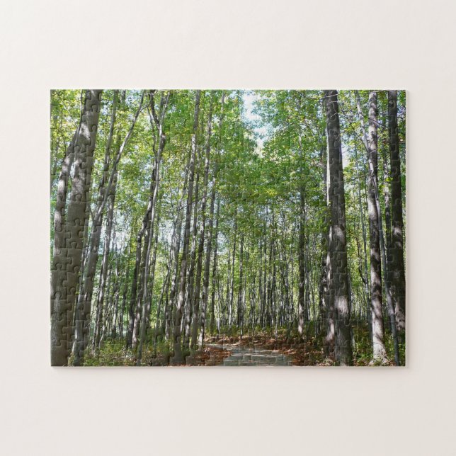Centennial Wald Path II Ellicott City Maryland Puzzle (Horizontal)
