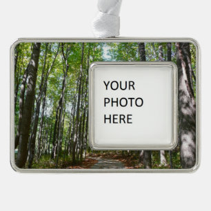 Centennial Wald Path II Ellicott City Maryland Rahmen-Ornament Silber