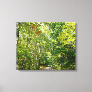 Centennial Wooded Path I Ellicott City Natur Leinwanddruck