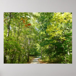 Centennial Wooded Path I Ellicott City Natur Poster