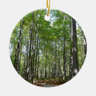 Centennial Wooded Path II Ellicott City Maryland Keramik Ornament