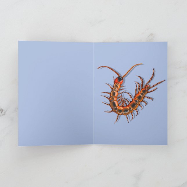 Centipede  karte (Innenseite)