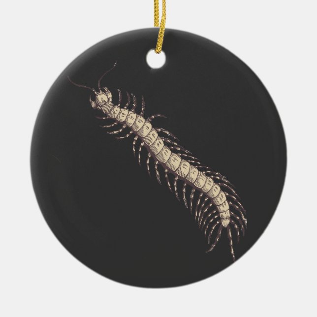 Centipede Ornament (Vorne)