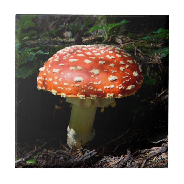 Central Cascades, Washington Staat Fliese (Vorderseite)