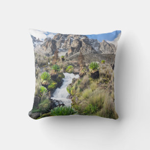 Central Mount Kenya Nationalpark Kissen