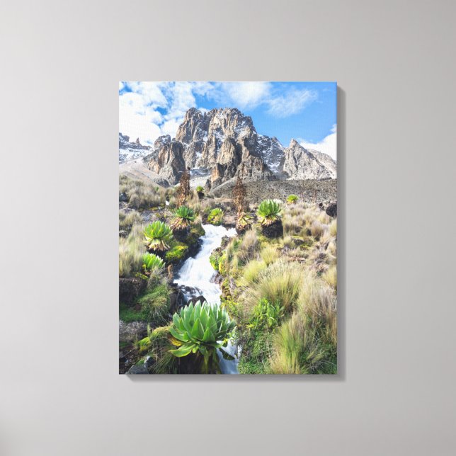 Central Mount Kenya Nationalpark Leinwanddruck (Vorderseite)