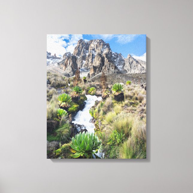 Central Mount Kenya Nationalpark Leinwanddruck (Vorderseite)