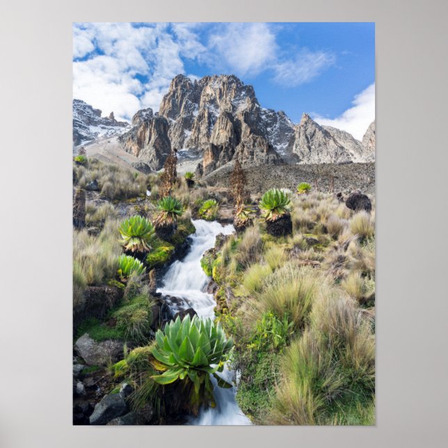 Central Mount Kenya Nationalpark Poster (Vorne)