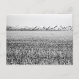 Central Oregon, nördlich von Maupin (Postkarte) Postkarte