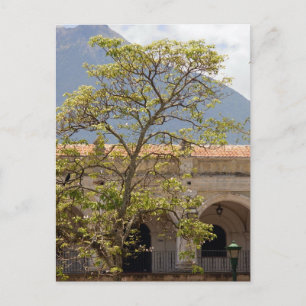 Central Park, Antigua Postcard Postkarte