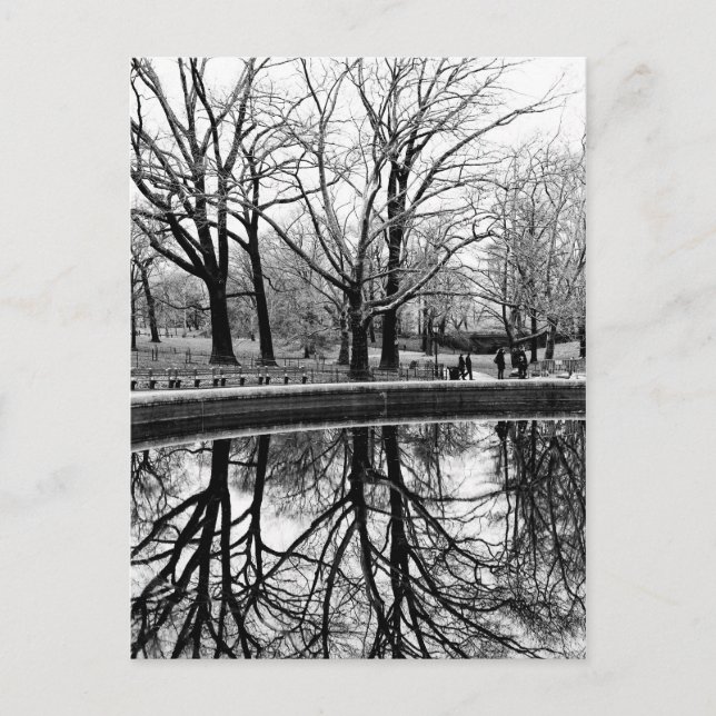 Central Park Black and White Landschaft Foto Postkarte (Vorderseite)