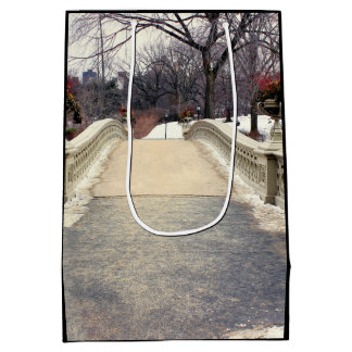 Central Park Bogen-Brücken-Foto Mittlere Geschenktüte