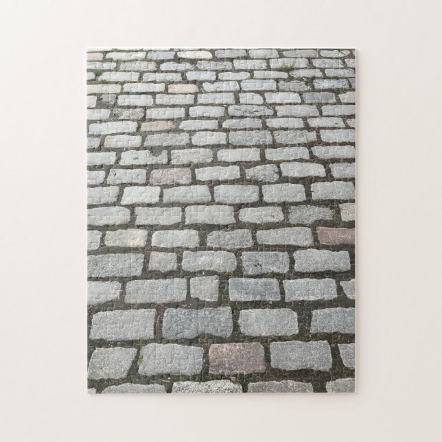 Central Park Cobblestones Stone Wege NYC Foto Puzzle (Vertikal)
