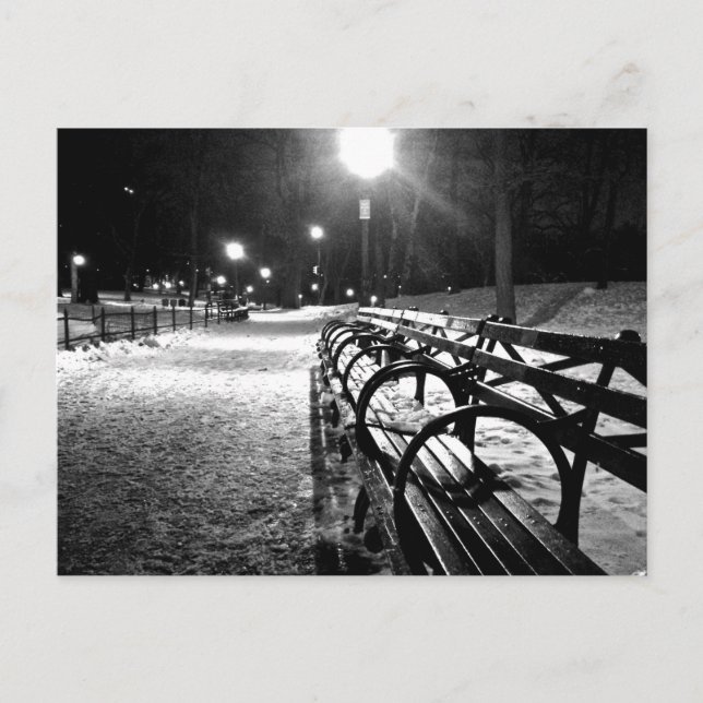 Central Park im Winter Postkarte (Vorderseite)