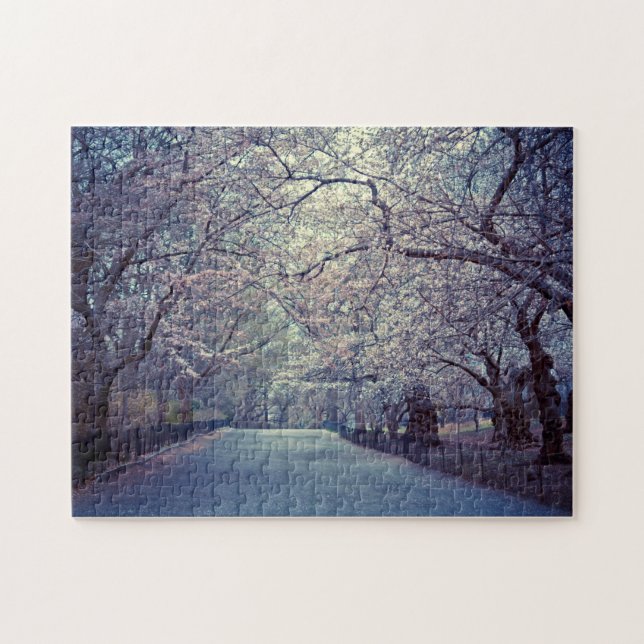 Central Park-Kirschblüten-Weg Puzzle (Horizontal)