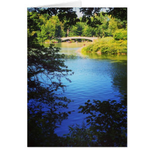 Central Park Lake Bow Bridge NYC New York Foto