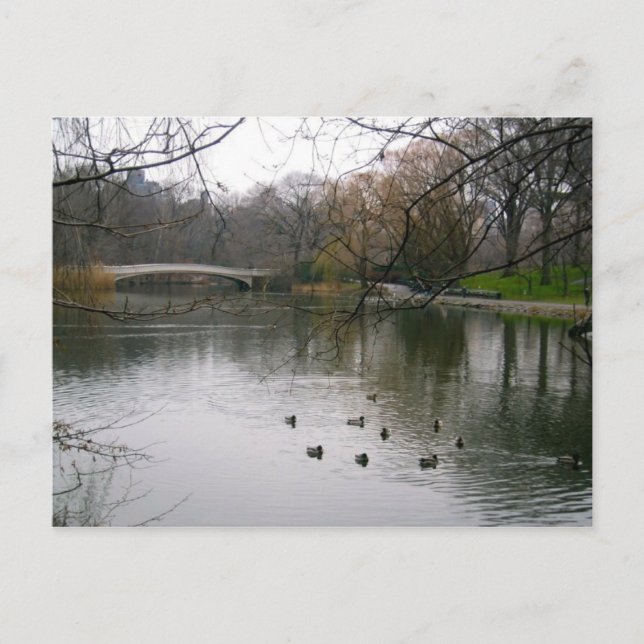 Central Park Lake NYC New York City Postcard Postkarte (Vorderseite)