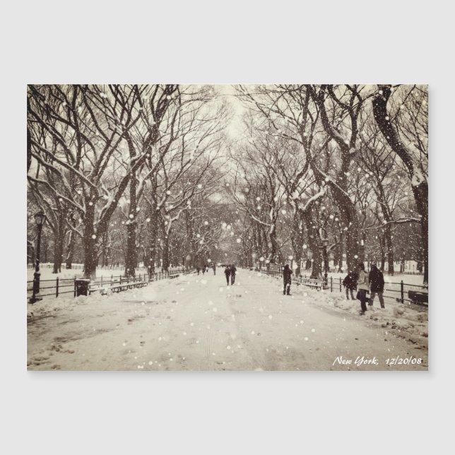 Central Park Magnetic Card Magnetkarte (Vorderseite)