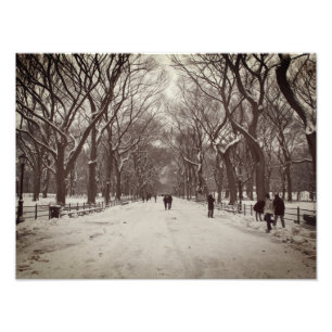 Central Park Mall Fotodruck