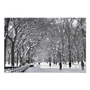 Central Park Mall Winter Szene Fotodruck