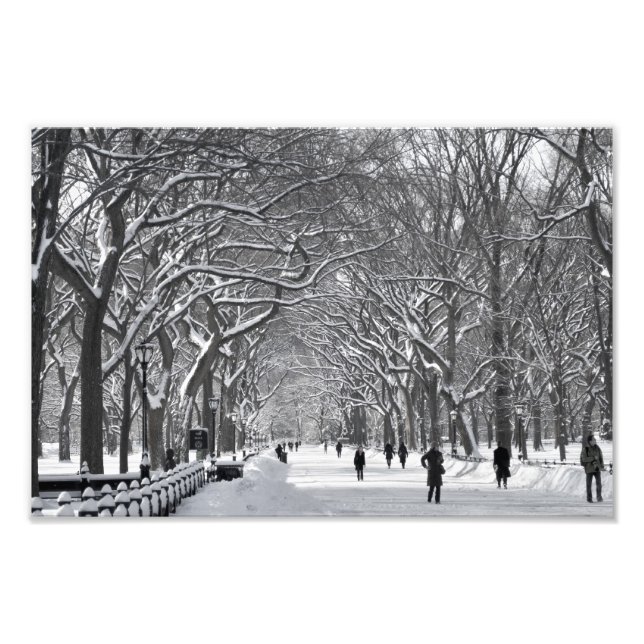 Central Park Mall Winter Szene Fotodruck