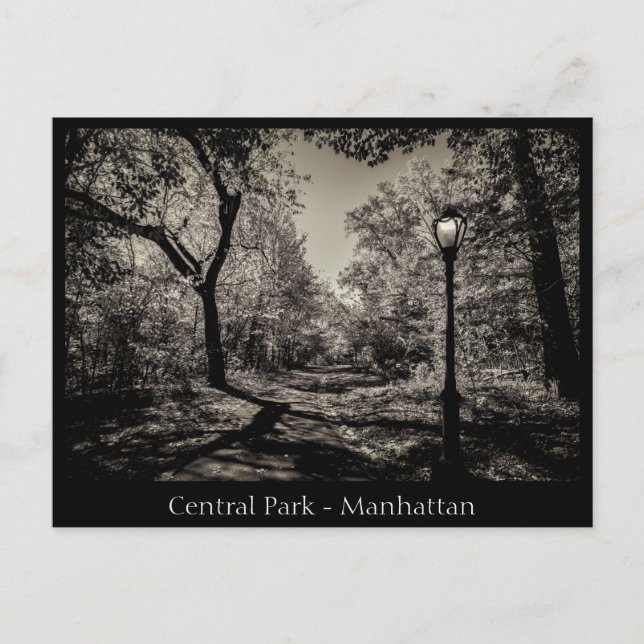 Central Park Manhattan in Schwarz-Weiß Postkarte (Vorderseite)