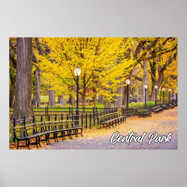 Central Park, Manhattan, New York, USA Poster (Vorne)