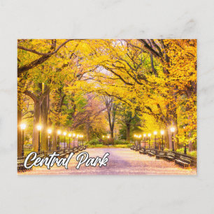 Central Park, Manhattan, New York, USA Postkarte
