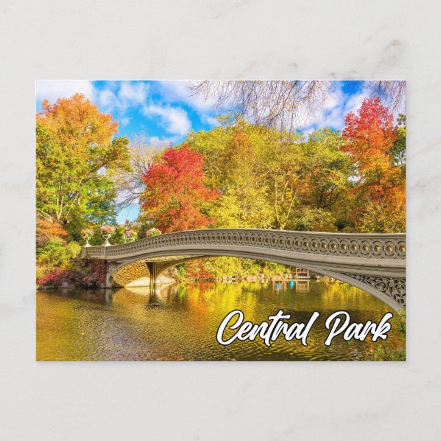 Central Park, Manhattan, New York, USA Postkarte (Vorderseite)