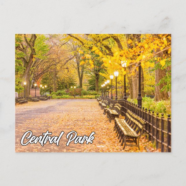 Central Park, Manhattan, New York, USA Postkarte (Vorderseite)
