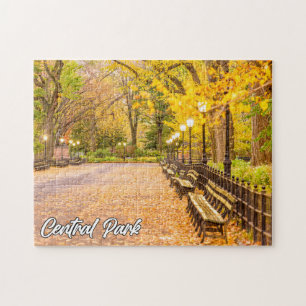 Central Park, Manhattan, New York, USA Puzzle