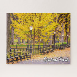 Central Park, Manhattan, New York, USA Puzzle