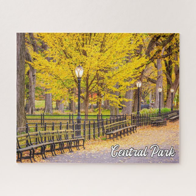 Central Park, Manhattan, New York, USA Puzzle (Horizontal)