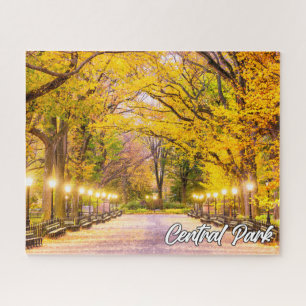 Central Park, Manhattan, New York, USA Puzzle