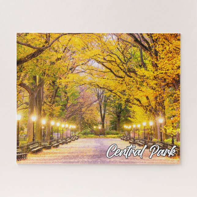 Central Park, Manhattan, New York, USA Puzzle (Horizontal)