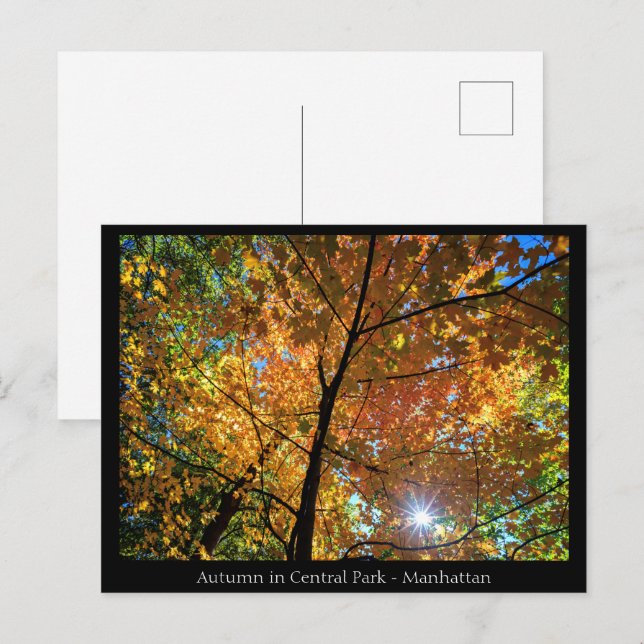 Central Park Manhattan Postcard Postkarte (Vorne/Hinten)