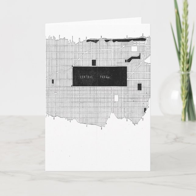 Central Park New York 1880 Map, Blank Inside Karte (Vorderseite)