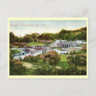 Central Park, New York City 1916 Vintag Postkarte