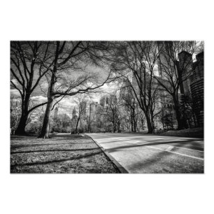 Central Park, New York City Foto Print